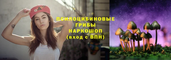 Альфа ПВП Елизово