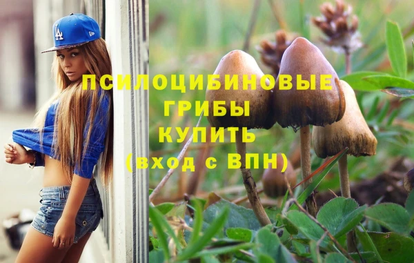 Альфа ПВП Елизово