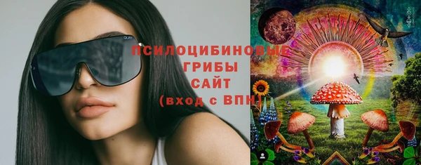 кристаллы Ельня