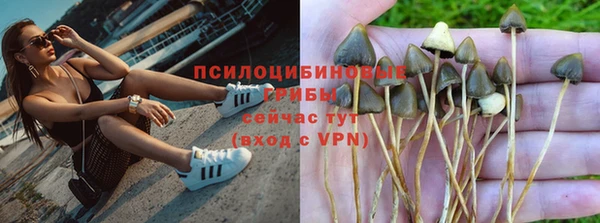 Альфа ПВП Елизово